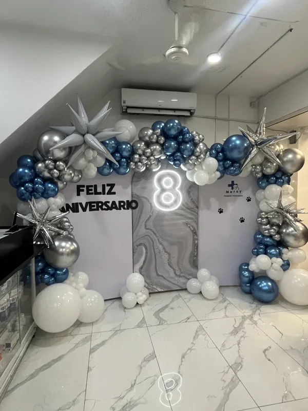 Mampara decorada: IMG 0624.HEIC